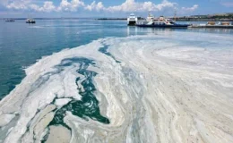 ODTÜ’den Korkutan Uyarı: Marmara’da Müsilaj Tehlikesi 2021 Seviyesine Dönebilir